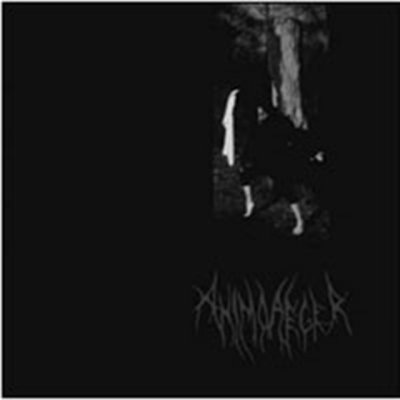 Animo Aeger - Impuls CD