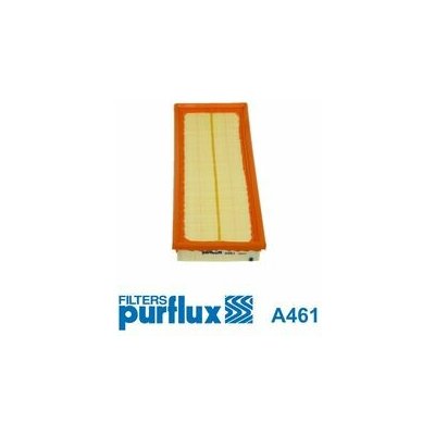 Vzduchový filtr PURFLUX A461 – Hledejceny.cz