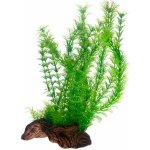 Hobby Flora root 3 30 cm – Zboží Mobilmania