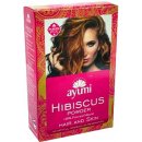 Ayumi Ibišek přírodní vlasový šampon 100 g