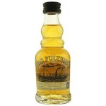 Old Pulteney 12y 40% 0,05 l (holá láhev) – Hledejceny.cz
