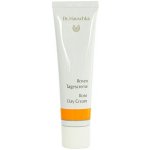 Dr. Hauschka Facial Care Rose Day Cream denní krém z růže 30 ml – Sleviste.cz