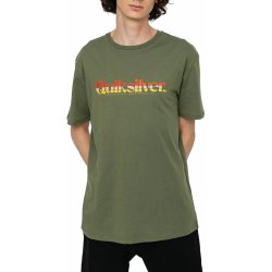 Quiksilver PRIMARY COLOURS TEE four leaf clover