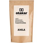 Otakar Organic přírodní rostlinná kúra vlasy AMLA 100 g – Hledejceny.cz