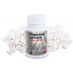 Valknut Kyselina listová Folic Acid 100 + 20 kapslí – Hledejceny.cz