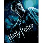 zuty Plakát Harry Potter a princ dvojí krve, 40×50 cm, bez rámu a bez vypnutí plátna – Hledejceny.cz