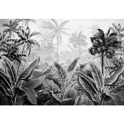 Postershop Fototapeta vliesová: Palmy a kapradí (černobílé) rozměry 254x184 cm – Zboží Mobilmania