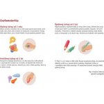 BETEXA Začínáme malovat Veselá paleta – Zbozi.Blesk.cz