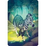 Libellud Dixit 9. rozšíření Anniversary – Zboží Živě