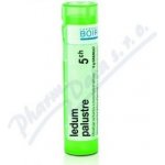 LEDUM PALUSTRE POR 30CH GRA 1X4G – Hledejceny.cz