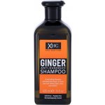 Xpel Ginger šampon proti lupům 400 ml – Zbozi.Blesk.cz