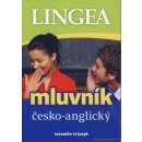 Česko-anglický mluvník ... rozvažte si jazyk