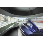 Závodní simulátor Formule 1 – Hledejceny.cz