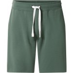 esmara Men Pánské teplákové bermudy zelená – Sleviste.cz
