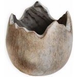 Lepaso Skořápka polyresin 13cm natural – Hledejceny.cz