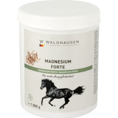 Waldhausen Hořčík forte Pro silné nervy 1 kg – Hledejceny.cz