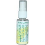 Eoné ředicí lahvička se sprejem 30 ml – Zboží Dáma