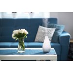 Concept ZV1000 Perfect Air – Zboží Dáma