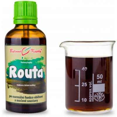 Bylinné kapky Pavlovy bylinné kapky Routa tinktura 50 ml – Hledejceny.cz
