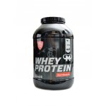 Mammut Nutrition Whey Protein 3000 g – Hledejceny.cz