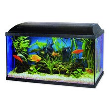 Cat Gato Pacific LED akvarijní set 60 x 30 x 30 cm, 54 l