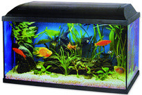 Cat Gato Pacific LED akvarijní set 60 x 30 x 30 cm, 54 l