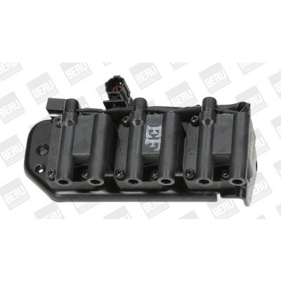 Zapalovací cívka BorgWarner (BERU) ZS269 – Hledejceny.cz