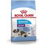 Royal Canin Giant Starter Mother&Babydog 4 kg – Hledejceny.cz