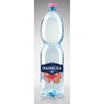 Hanácká Kyselka Grapefruit 1,5 l – Zboží Mobilmania