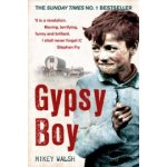 Gypsy Boy - The bestselling memoir of a Romany childhood - Walsh Mikey – Zboží Mobilmania