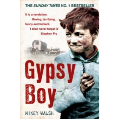 Gypsy Boy - The bestselling memoir of a Romany childhood - Walsh Mikey – Zboží Mobilmania