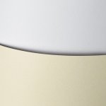 ozdobný papír Florida ivory 220 g 20ks – Sleviste.cz