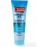 Delice Solaire Ice gel po opalování 250 ml – Hledejceny.cz