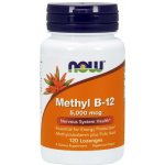 Now Methyl B-12 with Folic Acid Vitamín B12 + Kyselina Listová 5000 mcg 120 pastilek – Hledejceny.cz