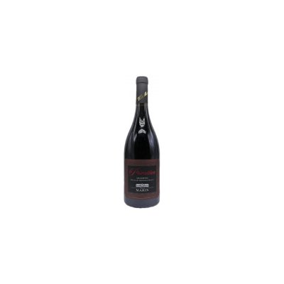 Villa Marin Salento Primitivo 14,5% 0,75 l (holá láhev) – Zbozi.Blesk.cz