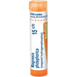 MAGNESIA PHOSPHORICA POR 15CH GRA 1X4G – Hledejceny.cz