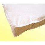 Matrace za hubičku.cz Chránič vhodný pro alergiky 200x140 – Zboží Dáma