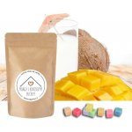 Od Janky Vonný vosk Mango s kokosovým mlékem 72 g – Hledejceny.cz