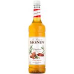 Monin Gingerbread 0,7 l – Zboží Dáma