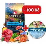 Ontario Puppy & Junior All Breeds Monoprotein Tuna & Sweet Potatoes 6,5 kg – Hledejceny.cz