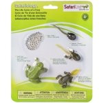 Safari Ltd. Životní cyklus Žába – Zboží Mobilmania