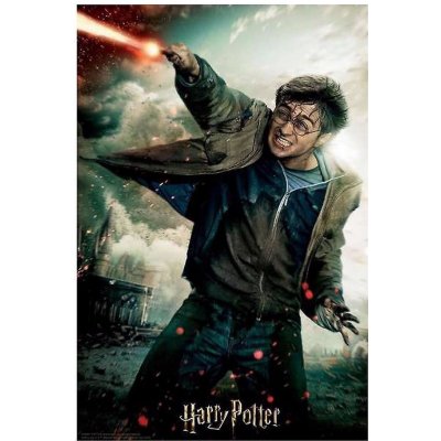 PRIME 3D Puzzle Harry Potter: Harry 300 ks – Zboží Mobilmania