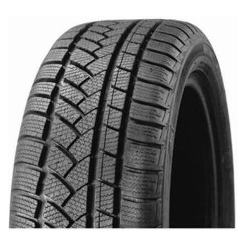 Profil Pro Snow 790 205/55 R16 91H