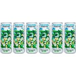 Coconaut Kokosová voda 320 ml – Zboží Dáma