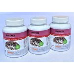 MycoMedica Maitake 50% 3 x 90 kapslí – Hledejceny.cz