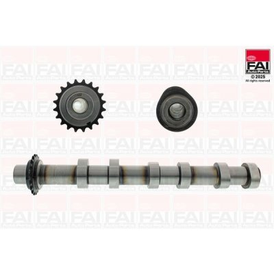 Vačkový hřídel FAI AutoParts C591 – Zboží Mobilmania