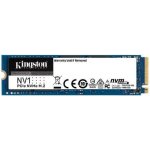Kingston NV1 1TB, SNVS/1000G – Zboží Živě