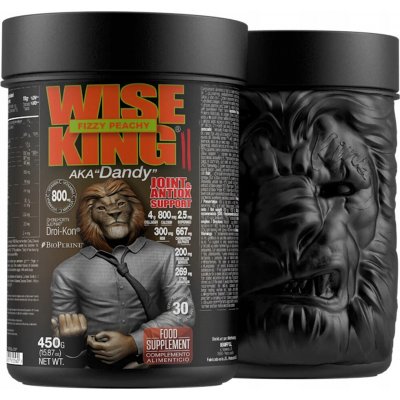 Zoomad Labs WiseKing Joint & Antiox fizzy peachy 450 g – Hledejceny.cz