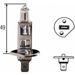 Hella H1 P14,5s 12V 55W – Zbozi.Blesk.cz