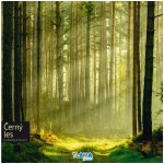 Tlama games černý les – Sleviste.cz